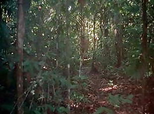 في-الهواء-الطلق, خمر, 18-عاماً, غابة-jungle