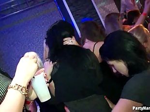 Drunk chicks are ready to take dicks at the party.