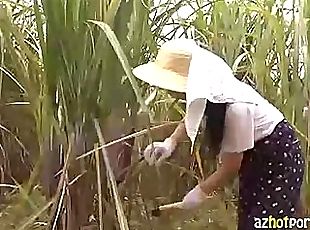 Asian Sugarcane Field MILF Outdoor Sex