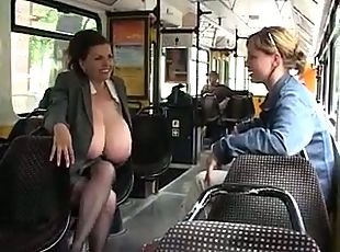 Milking In A Bus
